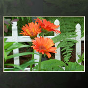 100_2428_card