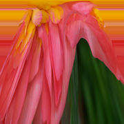 100_2455_card