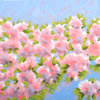 Magnolias_1_thumb