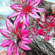 Fiori_blending_card