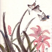 Ch-48-mini_flower_pink_lily_with_butterflies_card