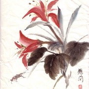 Ch-53-mini-lily___cicada_card