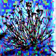 Nature_takes_form36_card