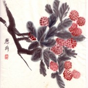 Ch-64-mini_li_chi_card