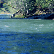 Rivers_bendtoo_card