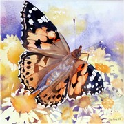392_jw_card