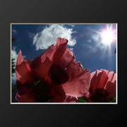 100_2568_card