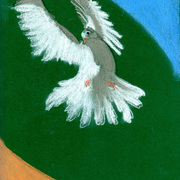 Dove_card