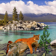895a-high_western_card