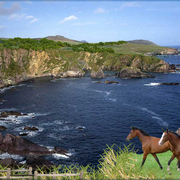 896-green_cliffs_card