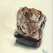 Pinewood_card