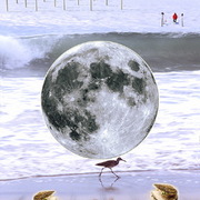 06lost_in_a_sea_of_tranquility_card