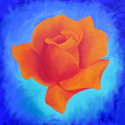 Rosarancio_card
