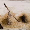 Escape_the_surf_thumb