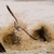 Escape_the_surf_tiny_square