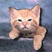 Little_dipper_card