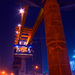 Drb1_square
