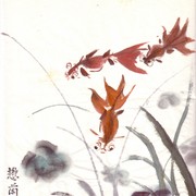 Ch-70-mini_gold_fishes_card