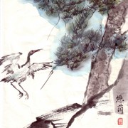 Ch-74-mini_heron___pine_card