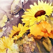 340_jw_card