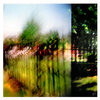 Both_sides_of_the_fence_thumb