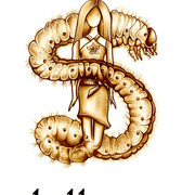 Fotosvarios_102_card
