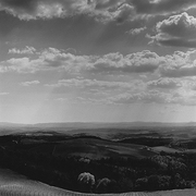 Brolio_paesaggio_card