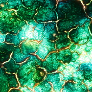 Clodgy_micro_light_006_card