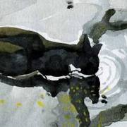 Drinking_cat_card