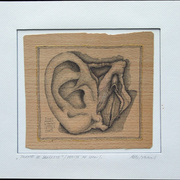 2008_0511neprelucrate0001ok_card