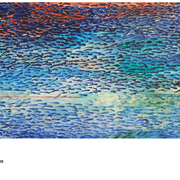 Blue_-_viii_card