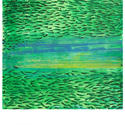 Green_-_iii_card