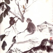 Ch-81-mini_monkeys___glass_hopper_card