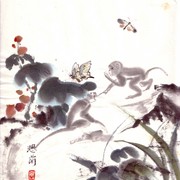 Ch-82-monkeys___butterflies_card