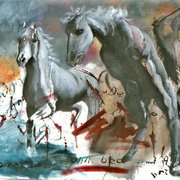 Ber0017_card