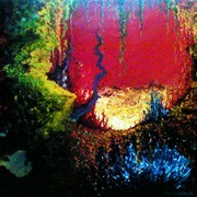 Cave_card