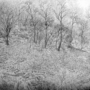 Hillside_in_wanaque_card