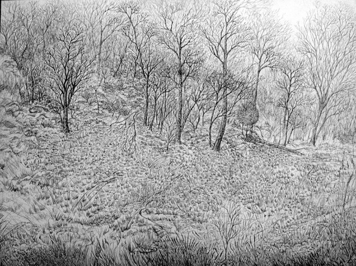 Hillside_in_wanaque_card