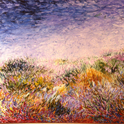 In-the-bushes-near-the-beac_card