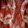 Red-double-vinnie_thumb