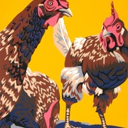 Various_001_card