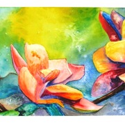 Various_002_card