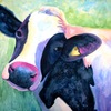 Cow_thumb