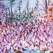Scrub-pine-forest_card