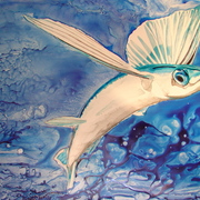 Dsc08255_card