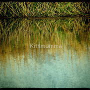 1248284-1-the-waters-edge_watermark_card