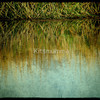 1248284-1-the-waters-edge_watermark_thumb