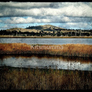 1248552-1-the-hut_watermark_card