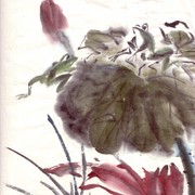 Ch-86-mini_frogs_on_lotus_leave_card