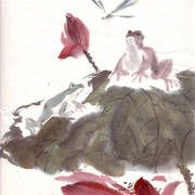 Ch-88-mini_frogs___dragonfly_card